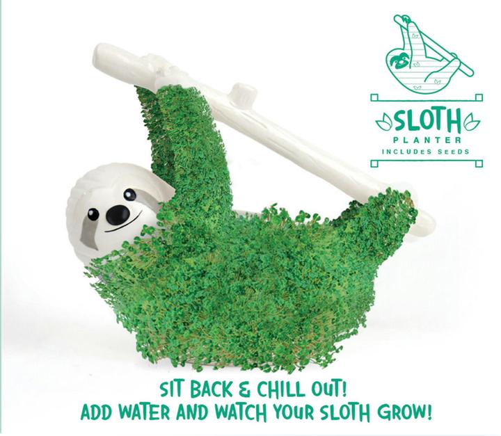 Produktbild TOP Chia Faultier