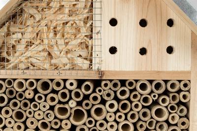Actual product image Trixie Insect hotels