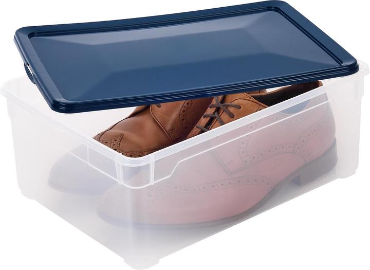 Immagine prodotto Rotho Clear (36 x 26 x 14 cm, 10 l)