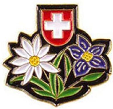 Actual product image Pins Pin Edelweiss with Gentian, Size: 20 mm