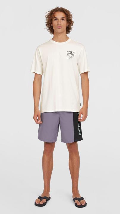 Image du produit O'Neill RETRO 19" SWIMSHORTS (XS)