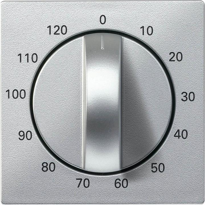 Actual product image Merten Central plate for timer insert 539260