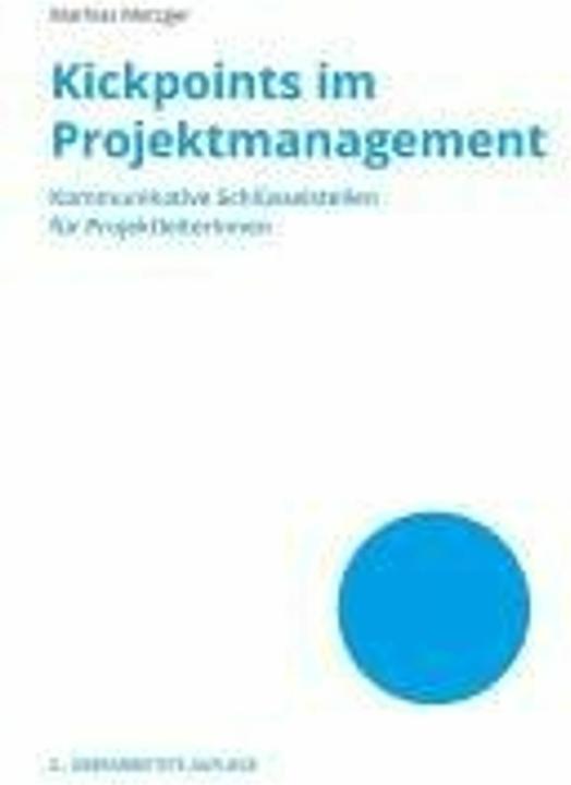 Energie-Label Kickpoints im Projektmanagement (Deutsch, Mathias Metzger, 2024)