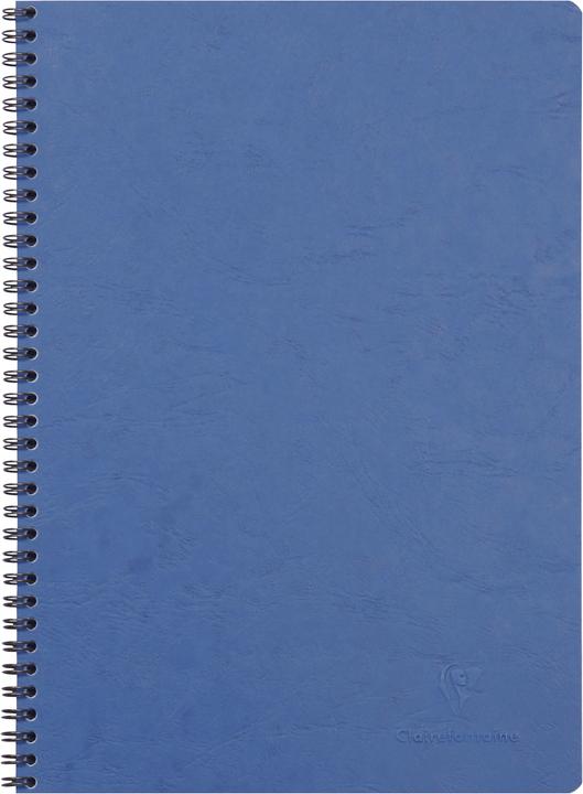 Actual product image Clairefontaine age bag (A4, Special ruling, Hardcover)
