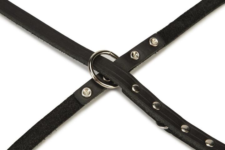 Actual product image Beeztees Dog leash (Dog)