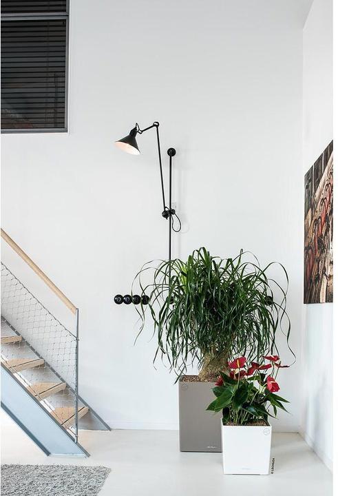 Produktbild Lechuza Cube 30 (29.50 x 29.50 x 30 cm)