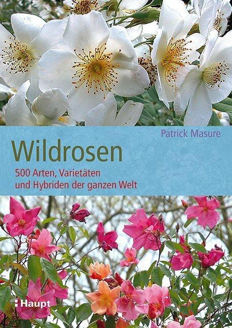 Produktbild Wildrosen (Deutsch, Patrick Masure, 2014)