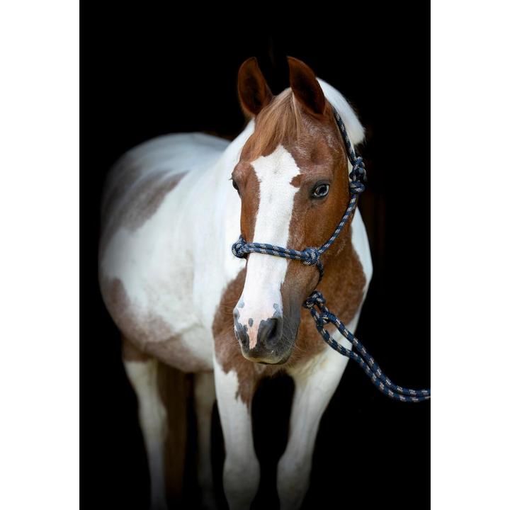 Immagine prodotto Horse Guard Set Cavezza e lunghina