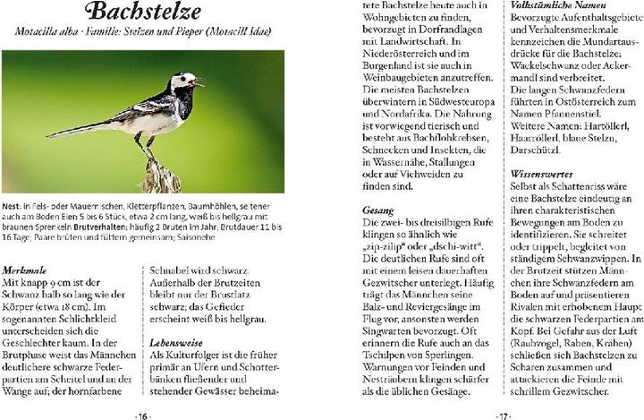 Produktbild Das kleine Buch: Singvögel (Deutsch, Klaus Kamolz, 2018)