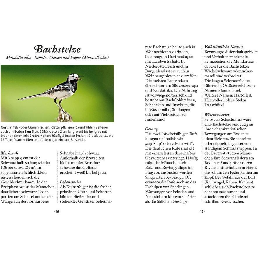 Thumbnail - Das kleine Buch: Singvögel, Ratgeber