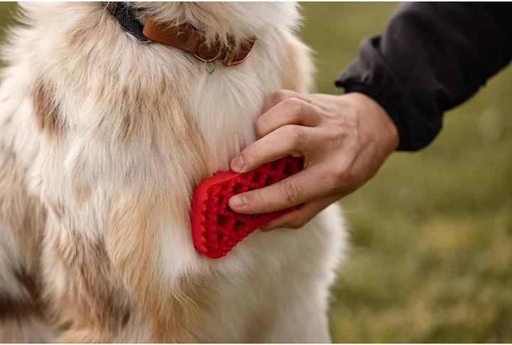 Actual product image Pet+Me Brush (Cat, Dog)