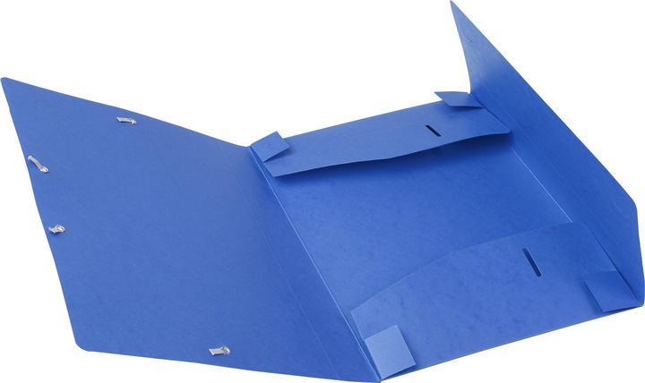 Actual product image Exacompta Archive boxes (A4)