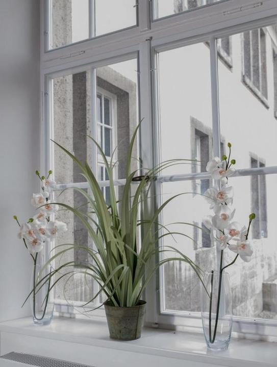 Immagine prodotto Europalms Ramo di orchidea artificiale, viola, 100cm (100 cm)