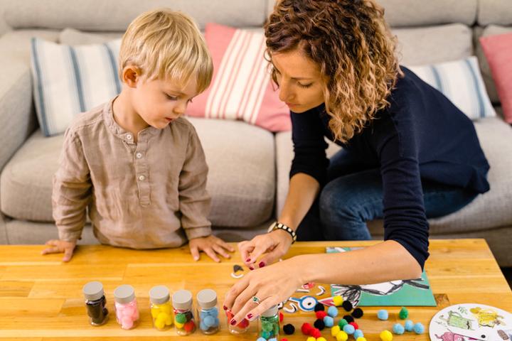 Actual product image Dujardin Je Decouvre Les Emotions New (French)