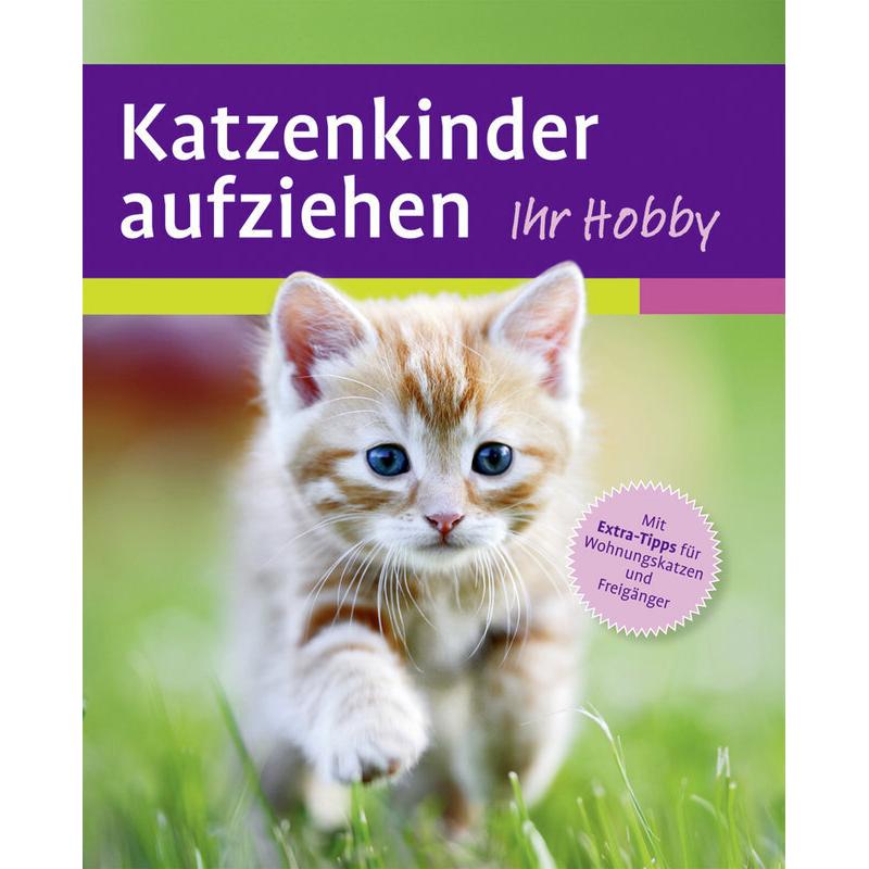 Thumbnail - Katzenkinder aufziehen, Ratgeber von Mark Evans, Antje Husk