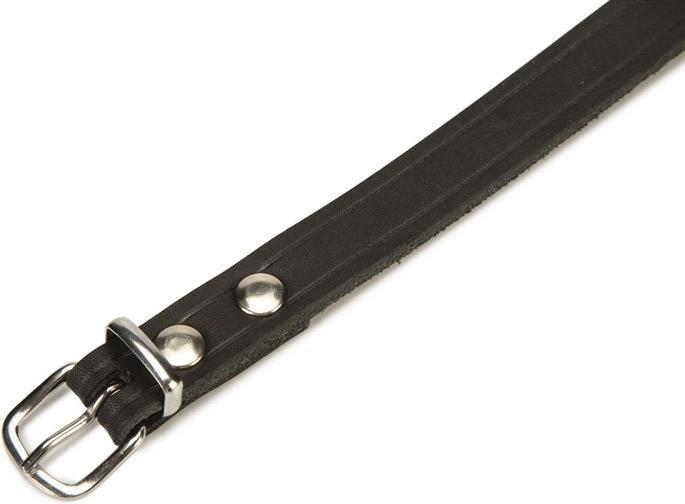 Produktbild Beeztees BZ LEDERHALSBAND SCHWZ 47X18 (47, Hund, Allgemein)