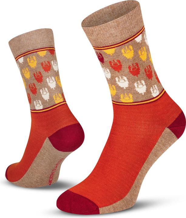 Immagine prodotto Patrón Spirits Company Grandi Giri 2024 (39 - 42)