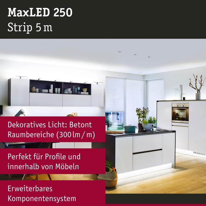 Produktbild Paulmann MaxLED 250 Stripe (Tageslicht, 500 cm, Indoor)