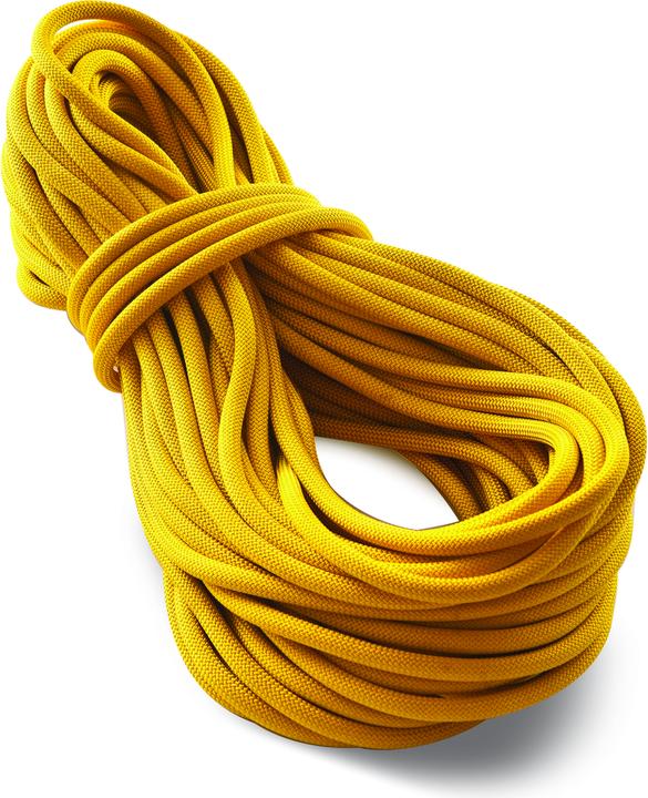 Actual product image Tendon Canyon rope 10.0 (60 m)