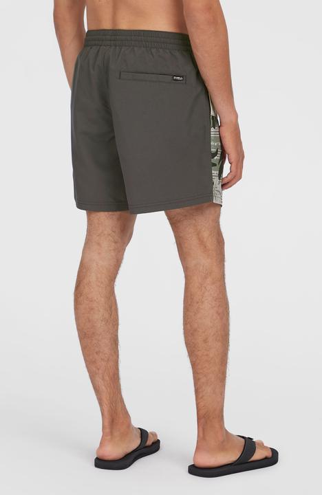 Actual product image O'Neill Cali Block 15" Swimshorts (L)