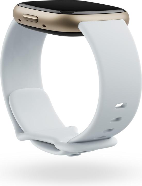 Productafbeelding Fitbit Zin 2 (40.30 mm)