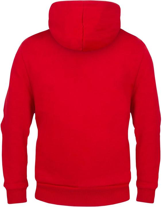 Image du produit Arsenal FC - Sweat à capuche - Garçon (122)