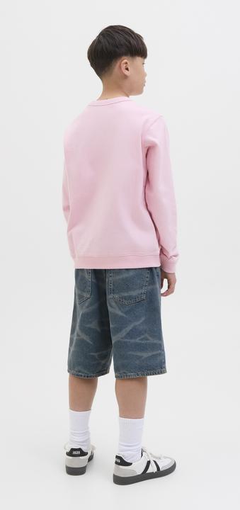 Image du produit Jack & Jones Jjialex Jjoriginal Shorts Sq 456 Jnr