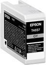 Produktbild Epson T46S700 (GY)