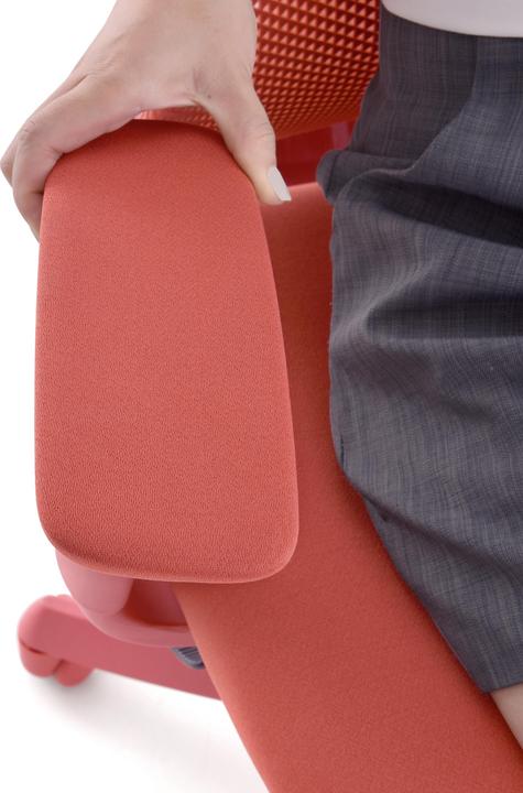 Immagine prodotto MyBuero Ergomy Colore (45 - 55 cm)