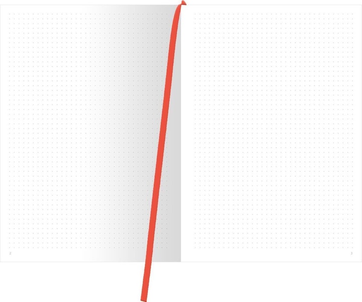 Actual product image myNOTES stationery: Do you actually know (A4, Checked)