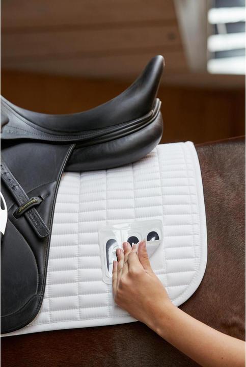 Actual product image Horse Guard 16"