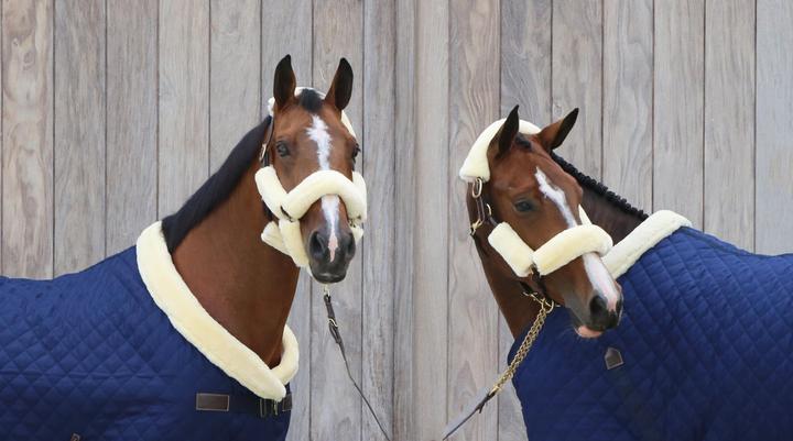 Produktbild Kentucky Horsewear Halfter-Set 4 Teile Schaffell (künstl.)