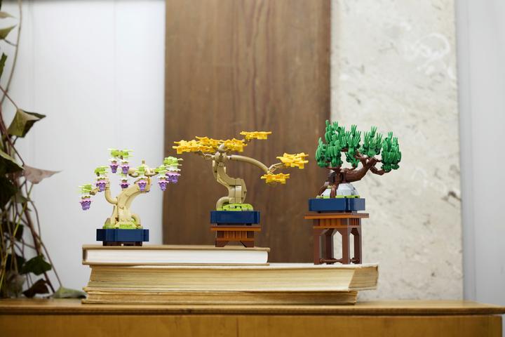 Produktbild LEGO Mini-Bonsais Set (10373, LEGO Botanicals)