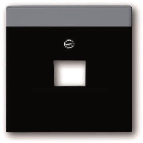 Actual product image Busch-Jaeger Central disk