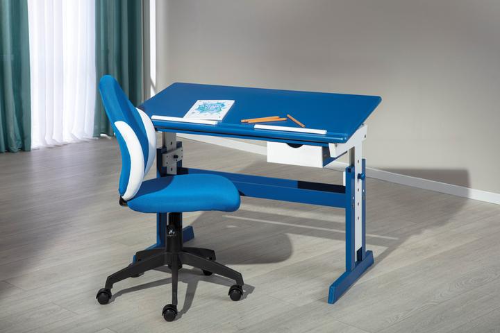 Actual product image Inter Link Paco (55 x 63 cm)
