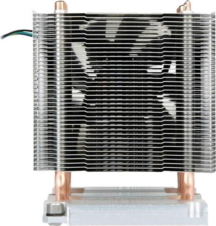 Productafbeelding Intertech B-11 actief LG 3647 NARROW (80 mm)