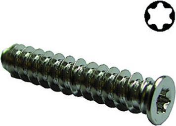 Actual product image Werkstarck Euroschrauben 6,3x40mm, TX20, 1000 Stk (1000 Screws per piece)
