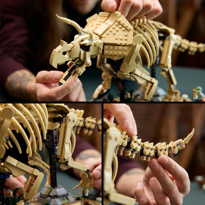Produktbild LEGO Dinosaurier-Fossilien: Triceratops (77985, LEGO Jurassic World)