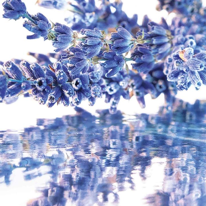 Produktbild Guerlain Parfums Mon (Eau de Parfum, 50 ml)