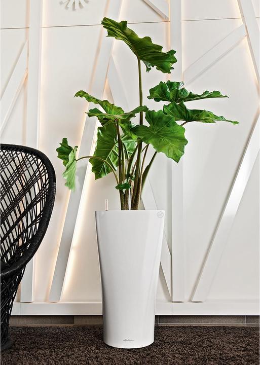 Produktbild Lechuza Delta (29 x 56.50 cm)