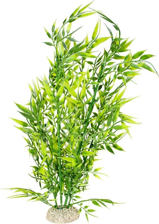 Productafbeelding EBI Aqua Della Bamboo (Planten, Andere objecten)