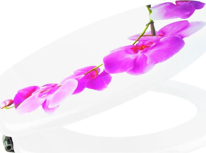 Actual product image MSV Lanyu