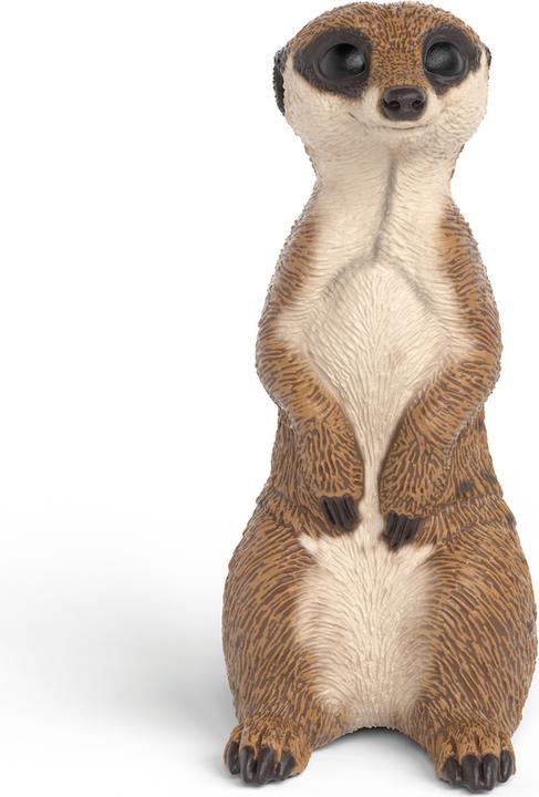Immagine prodotto Schleich Erdmännchen