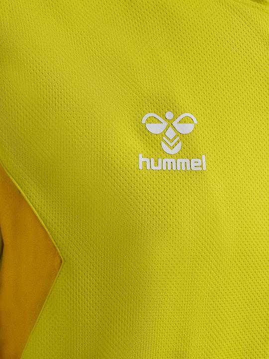 Actual product image hummel Hmlauthentic Pl Zip Hoodie (L)