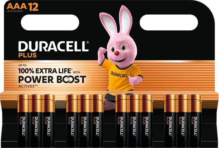 Actual product image Duracell Plus Power Boost 12x LR03 (AAA) (12 pcs., AAA)