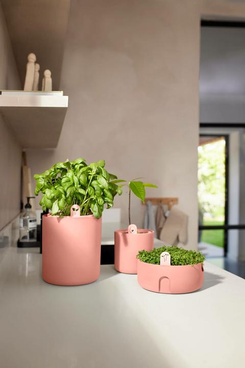 Produktbild Elho Amazing Avocado Pot