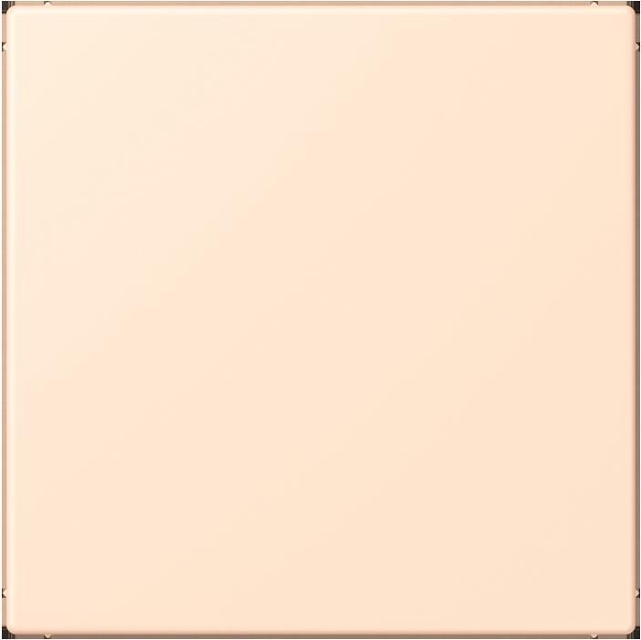 Produktbild JUNG Blindabdeckung