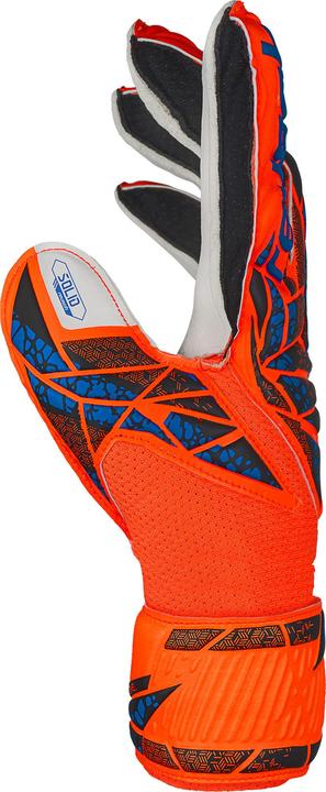 Image du produit Reusch Attrakt Solid (4)