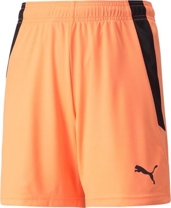 Produktbild Puma teamLIGA Shorts Jr (140)