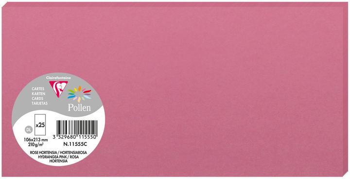 Rose, rose hortensia